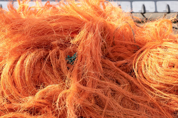 nets at the haven of oudeschild on the east of texel island in the netherlands - oudeschild imagens e fotografias de stock