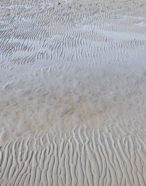 istock Vertical shot of lines and patterns on the sand on a beach 1452841158