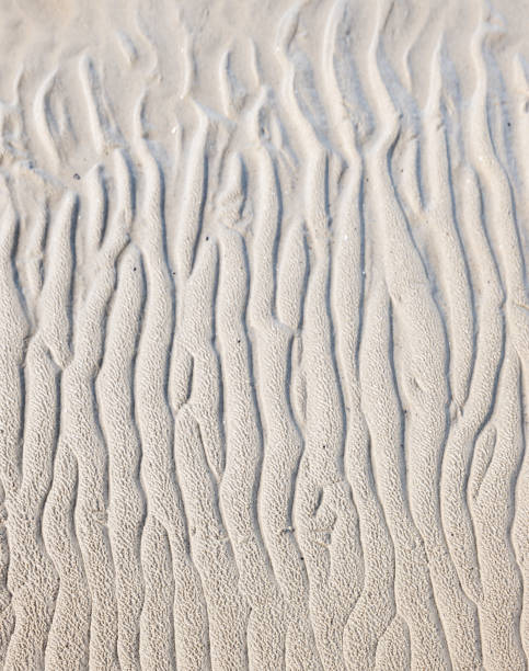 istock Vertical shot of lines and patterns on the sand on a beach 1452841163