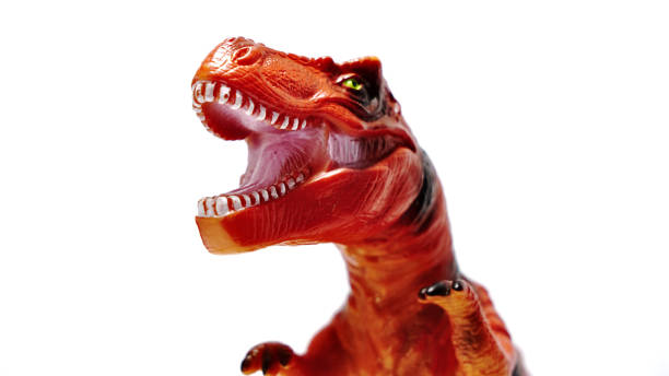 Face of a red dinosaur toy isolated on a white background