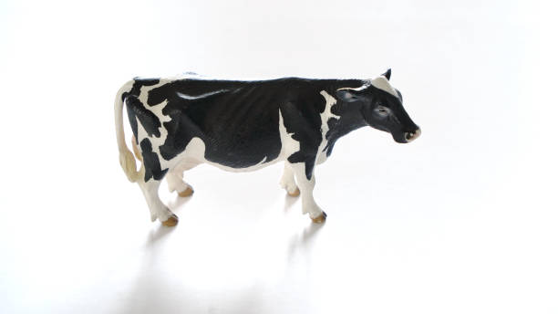 Cow toy isolated on a white background