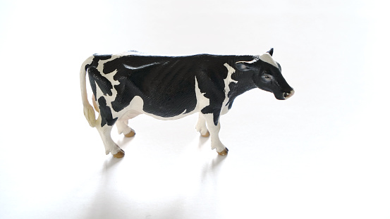 A cow toy isolated on a white background