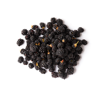 A bunch of blackberries on a white background. Useful blackberry product isolated.