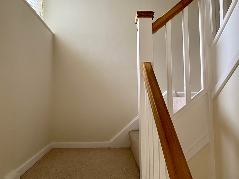 Carpet staircase in modern house