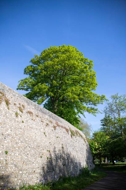 istock Chichester city walls, England, UK 1452847995