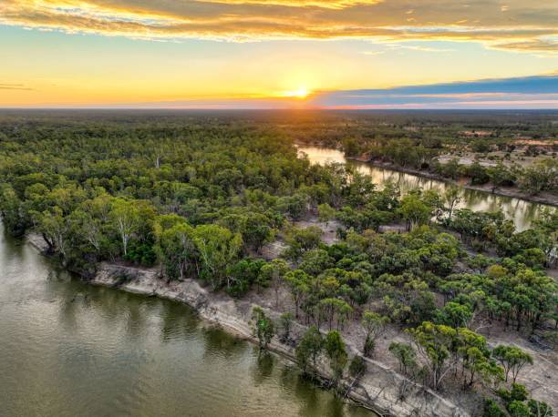 istock Hattah Kulkyne National Park 1452848915