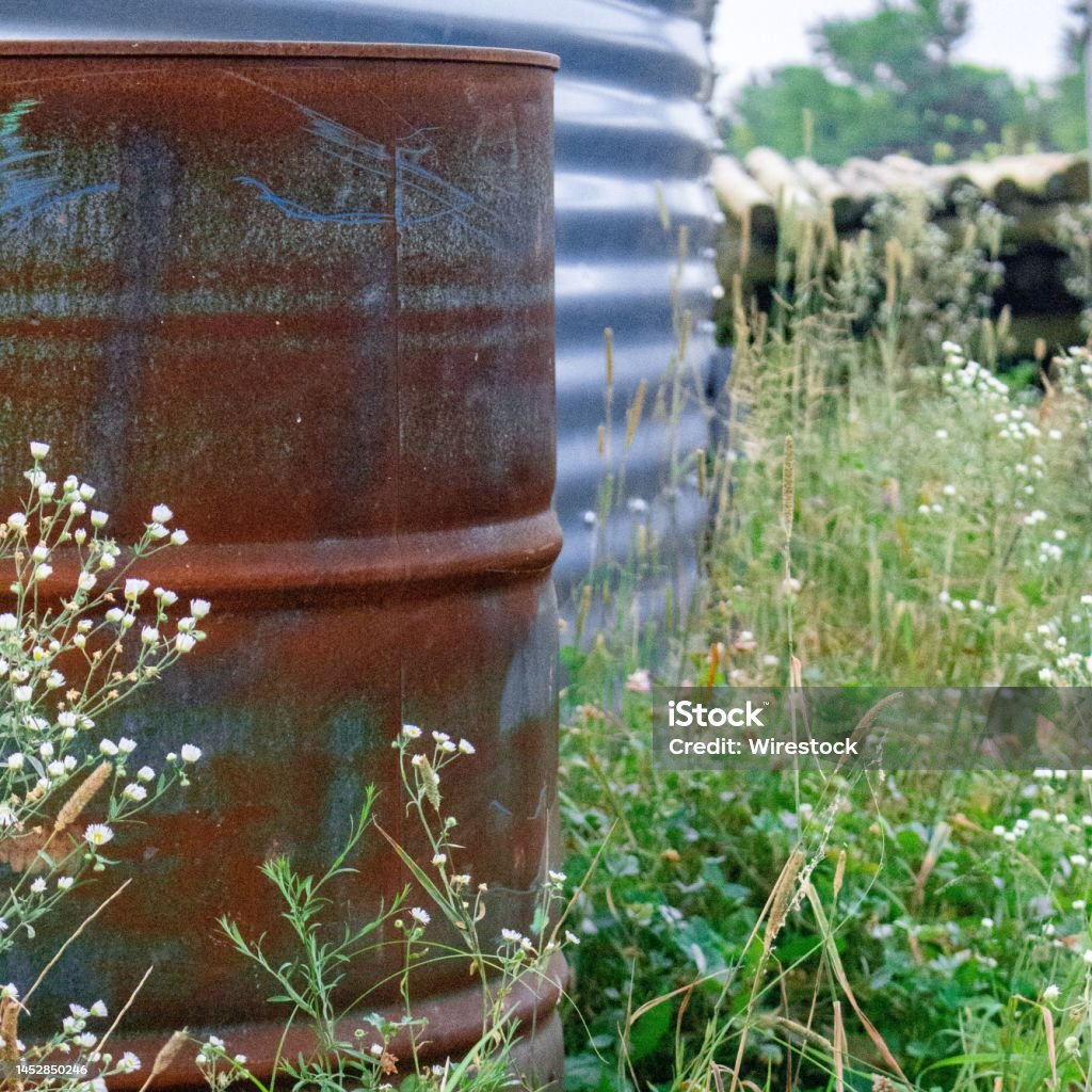 Closeup of an oldy rusty metal barrel in a field A closeup of an oldy rusty metal barrel in a field Agricultural Field Stock Photo