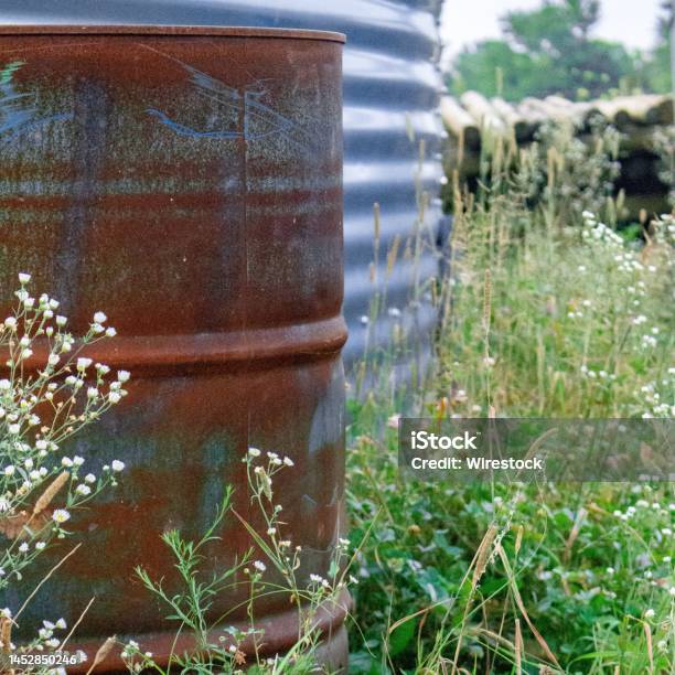Closeup Of An Oldy Rusty Metal Barrel In A Field Stock Photo - Download Image Now - Agricultural Field, Agriculture, Barrel