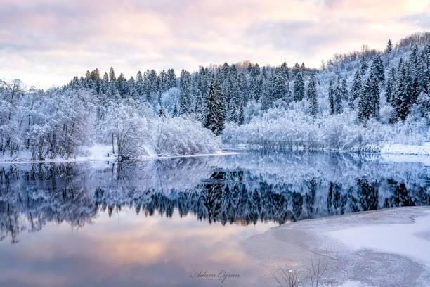 istock Nidelva river in winter in Trondheim, Norway 1452850260
