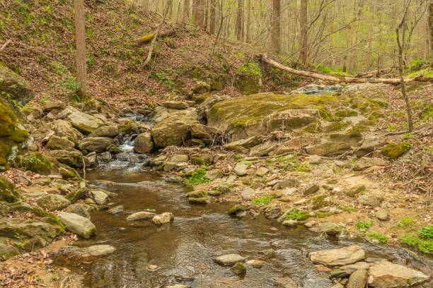 istock Beautiful small stream surrounded with greenery in Patapsco State Valley Park in Baltimore, Maryland 1452850582