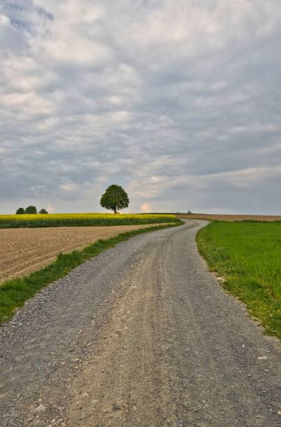 istock Vertical shot of a countryside road under a cloudy sky 1452851037