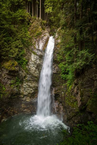 istock Vertical shot of a small waterfall flowing over the rocks 1452853046