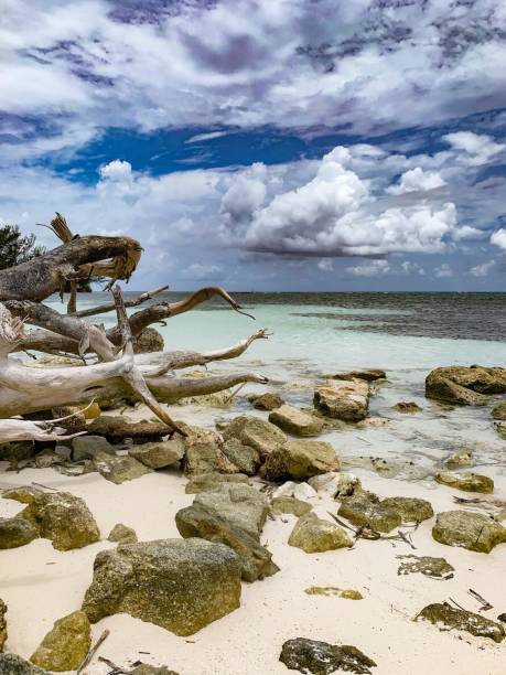 istock Cloudy blue sky over the sea captured from the sandy beach in summer 1452853366