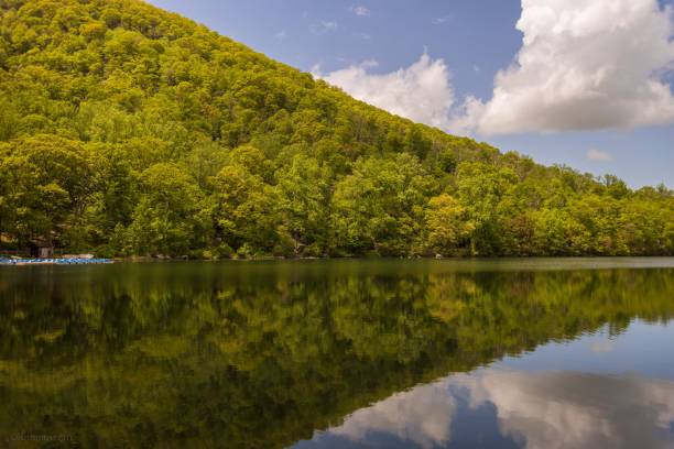 istock Mesmerizing view of a hill covered with trees reflecting in the lake 1452853532