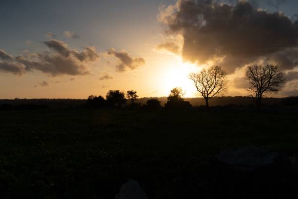 istock Silhouette of a field on the sunset 1452854095