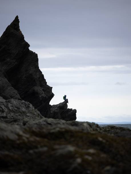 istock Vertical shot of beautiful rocks on a cloudy day 1452854275