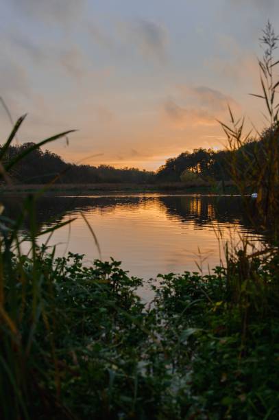 istock Vertical shot of a tranquil lake landscape under the cloudy sunset sky 1452854513