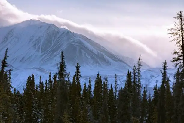 A beautiful view of a forest with mountain ranges covered in snow in Whitehorse, Yukon, Canada