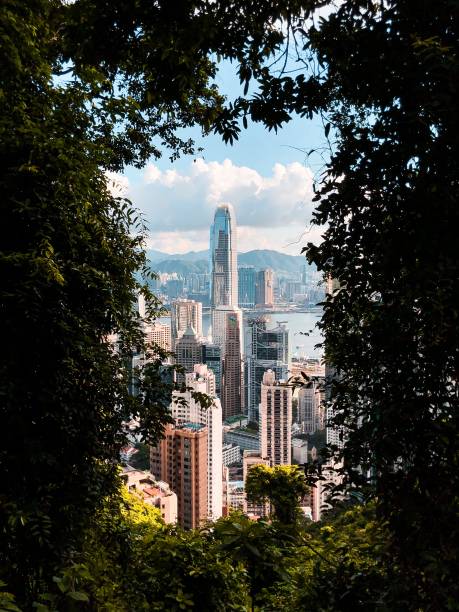 istock Hongkong cityscape 1452856290
