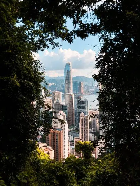 Photo of Hongkong cityscape