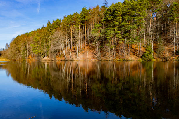 istock Autumn trees at the lakeshore 1452857373