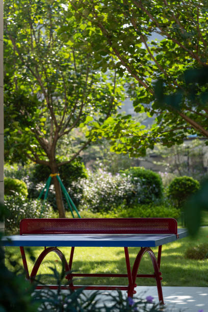 istock Table-tennis table in public outdoors place. 1452858872