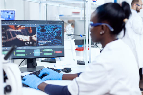 istock Back view of african researcher working on computer 1452859265