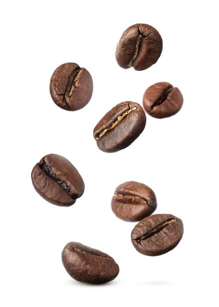 many roasted coffee beans flying on white background - kavrulmuş kahve çekirdekleri stok fotoğraflar ve resimler