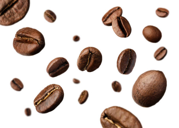 istock Many roasted coffee beans flying on white background 1452861507