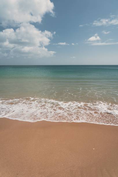 istock Soft ocean waves with foam on a sandy beach 1452861553