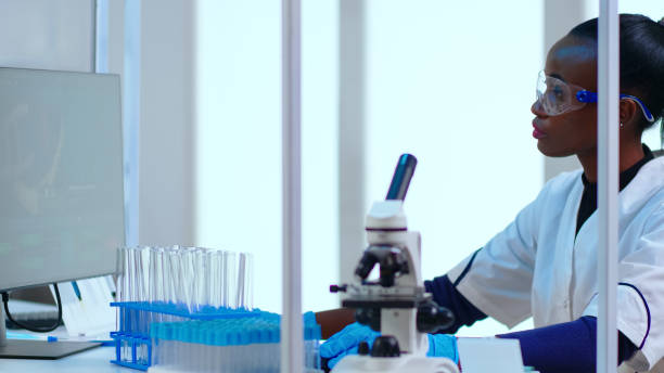 istock Portait of black woman chemist typing on pc checking virus development 1452863211