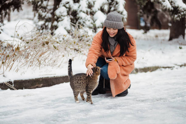 Young woman in pink coat at winter cold park feeding the stray cat stock photo