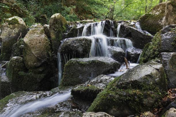 istock A beautiful small waterfall cascade in a forest in Rhon, Germany 1452864941