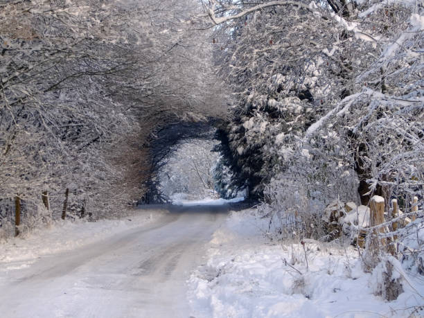 Country lane in the Cotswolds