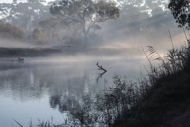istock foggy morning landscape on the werribee river 1452866273