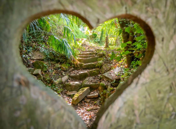 Beautiful garden hidden behind the door. \nSeen behind a heart-shaped hole.