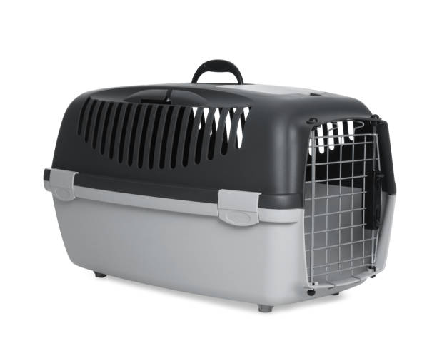 istock Grey carrier for pet isolated on white 1452870628