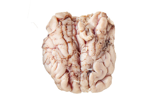 brain pork raw offal fresh meat meal food snack on the table copy space food background