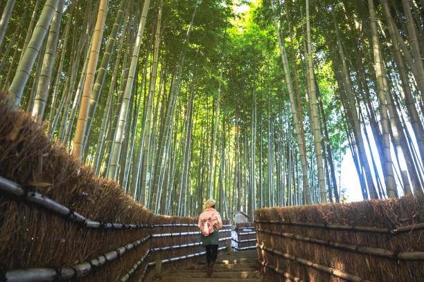 istock Young woman walking between  bamboo grove 1452873526
