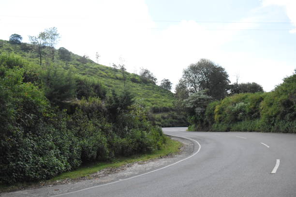 istock Curvy road surrounded by green trees 1452875755