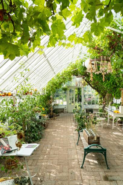 istock Vertical shot of a beautiful botanical garden 1452876580