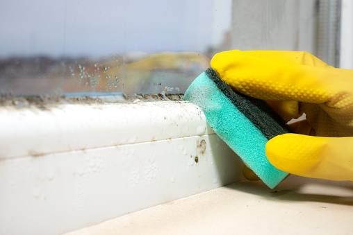 La mujer está limpiando Una gran cantidad de hongos de moho negro que crecen en el alféizar de la ventana en casa. Concepto de problema de humedad. Condensación en la ventana. photo