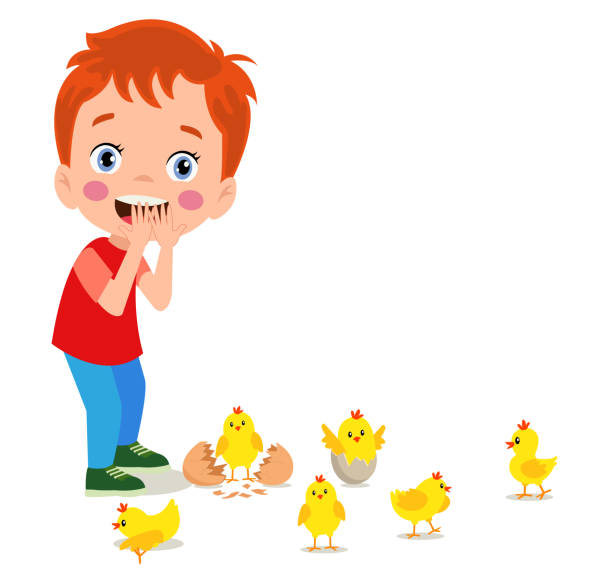 ilustraciones, imágenes clip art, dibujos animados e iconos de stock de lindos pollitos amarillos y niño - chicken young bird animal egg baby chicken