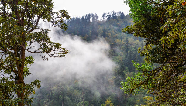 istock Mountain and forest scenery in Nepal 1452878946