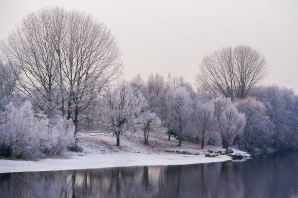istock Hoar-covered trees in the park at lake 1452882620