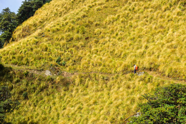 Myagdi, Nepal - Oct 22, 2017. Trekkers with backpack walking on trail of Annapurna Circuit Trekking in Khopra, Nepal.