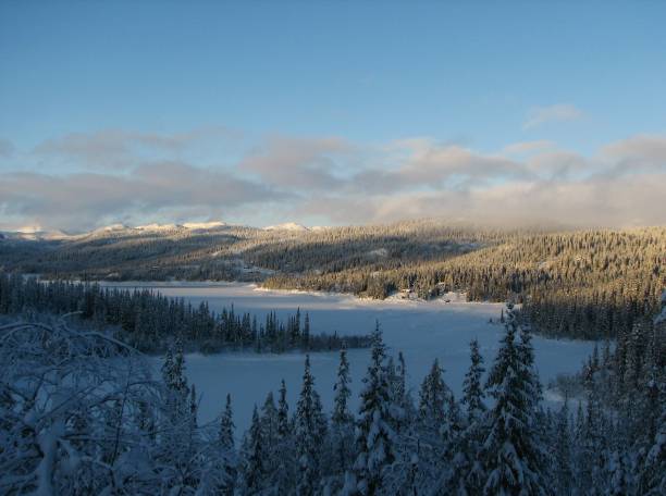 istock Winter landscape in the mountains 1452887496