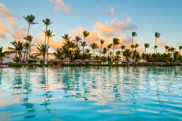 piscina y palmeras - república dominicana fotografías e imágenes de stock