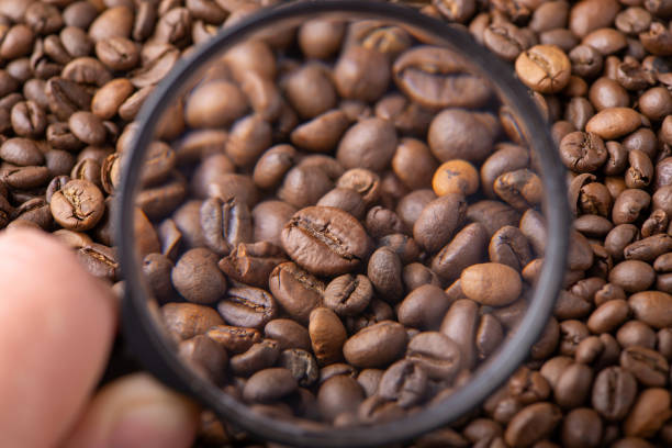 Magnifying glass on coffee beans stock photo