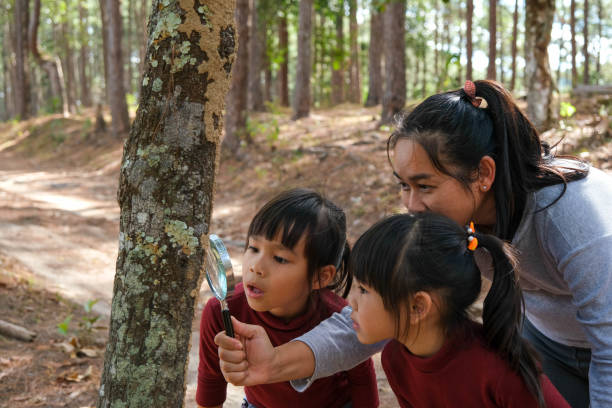 Happy mother and daughter exploring and using magnifying glass to observe bugs on tree trunk in the forest. Happy family on vacation in nature.